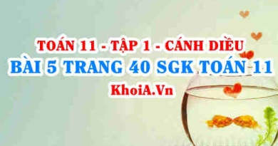 Bài 5 trang 40 SGK Toán 11 tập 1 Cánh Diều